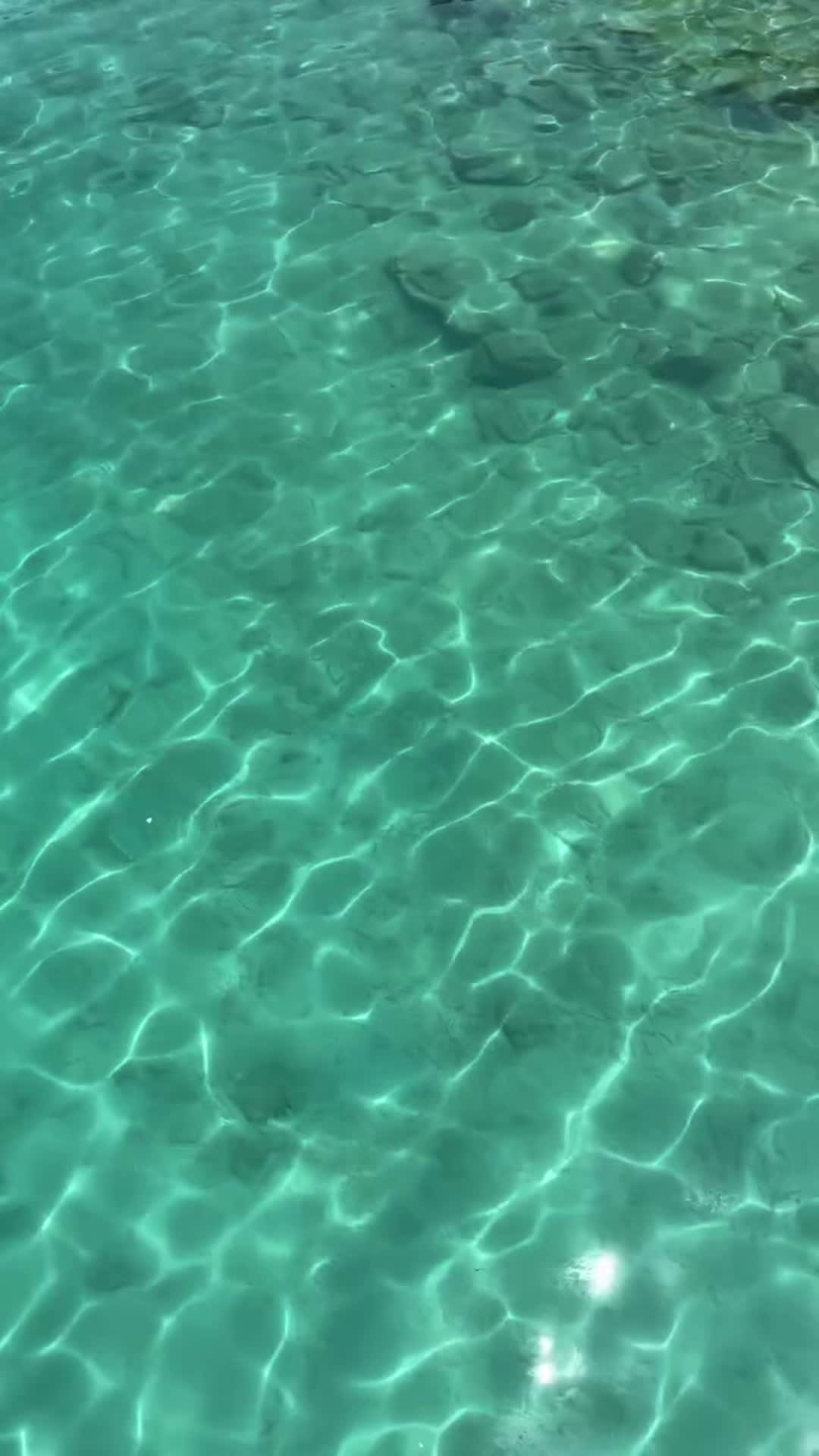 @jessieetrueman