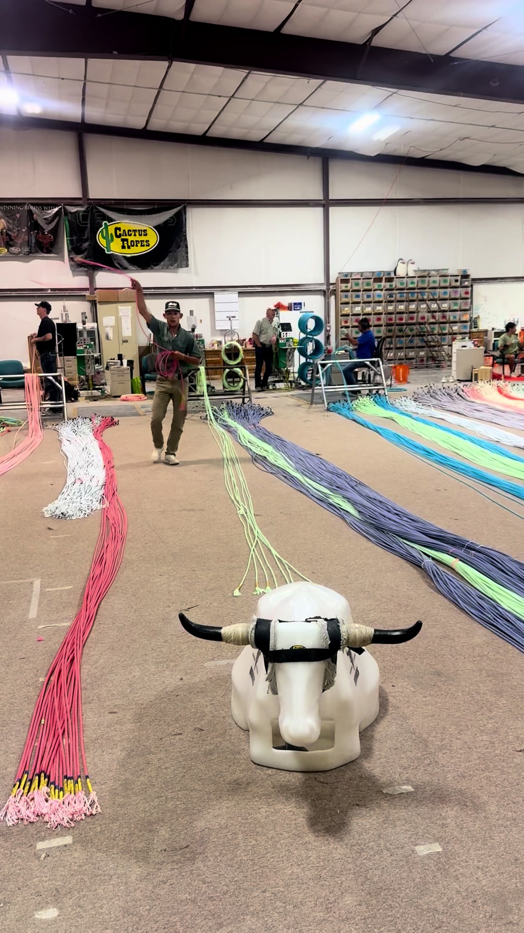 @Cactus Ropes