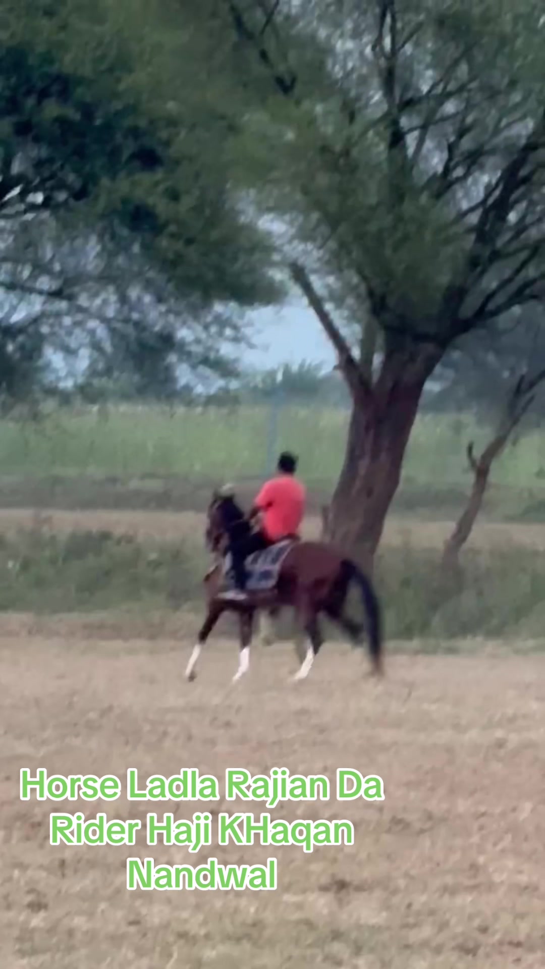 @Raja Farm House and stable