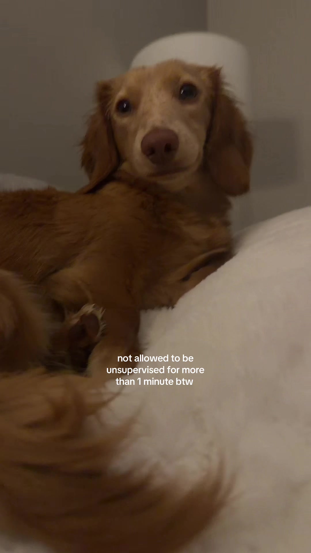 @miamooski3