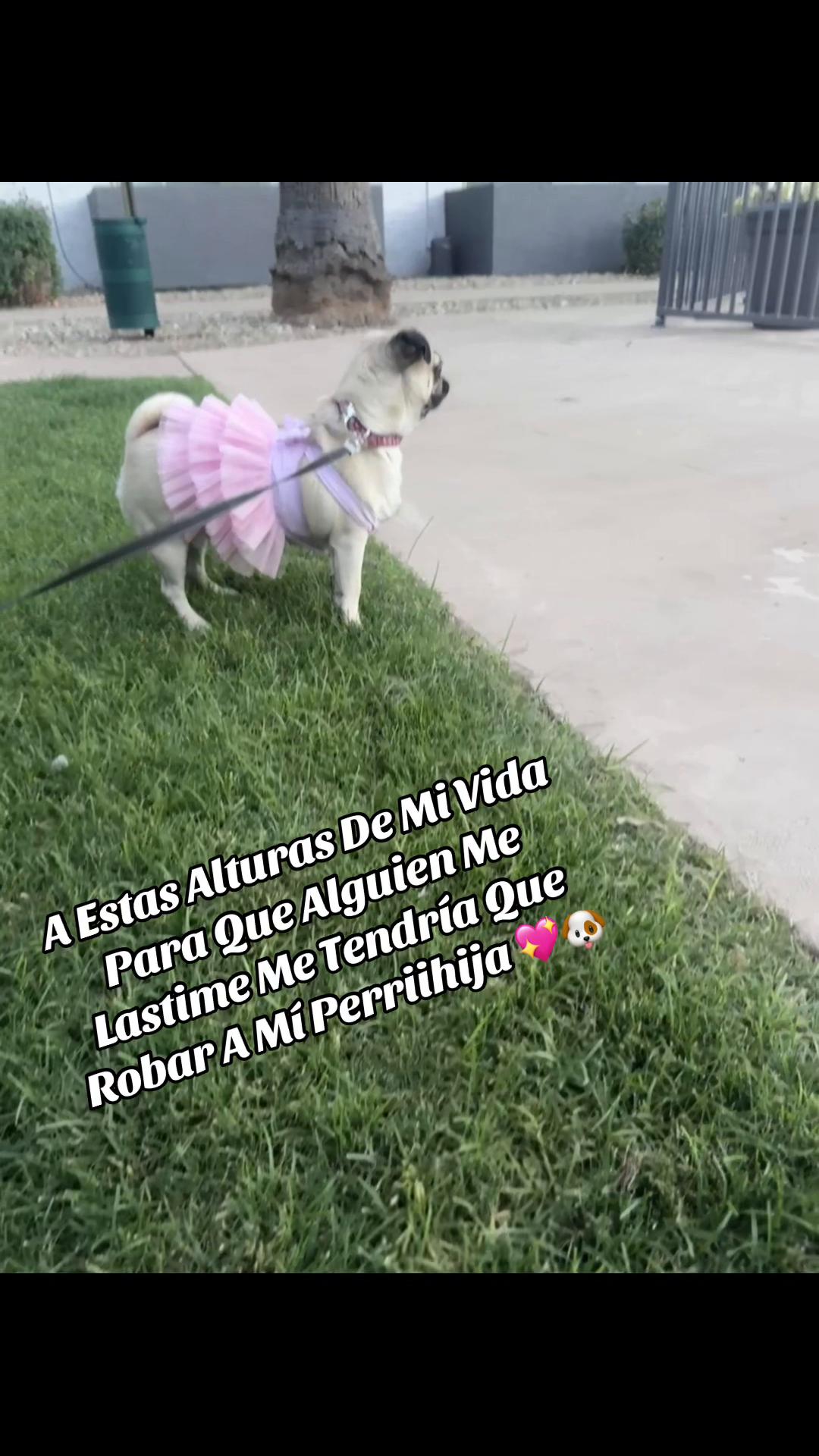 @Gina Paola Torres621