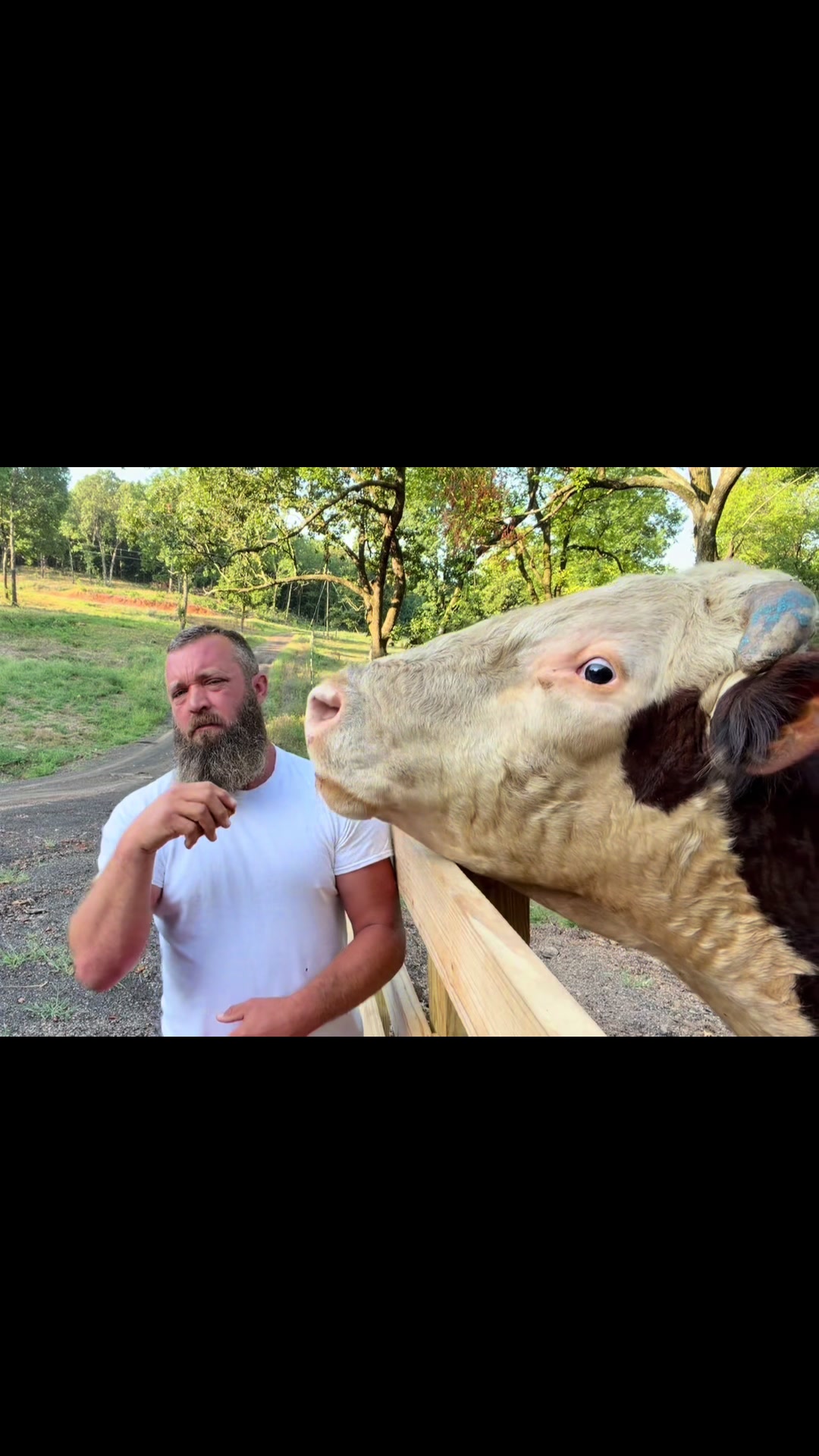 @Rufus The Bull