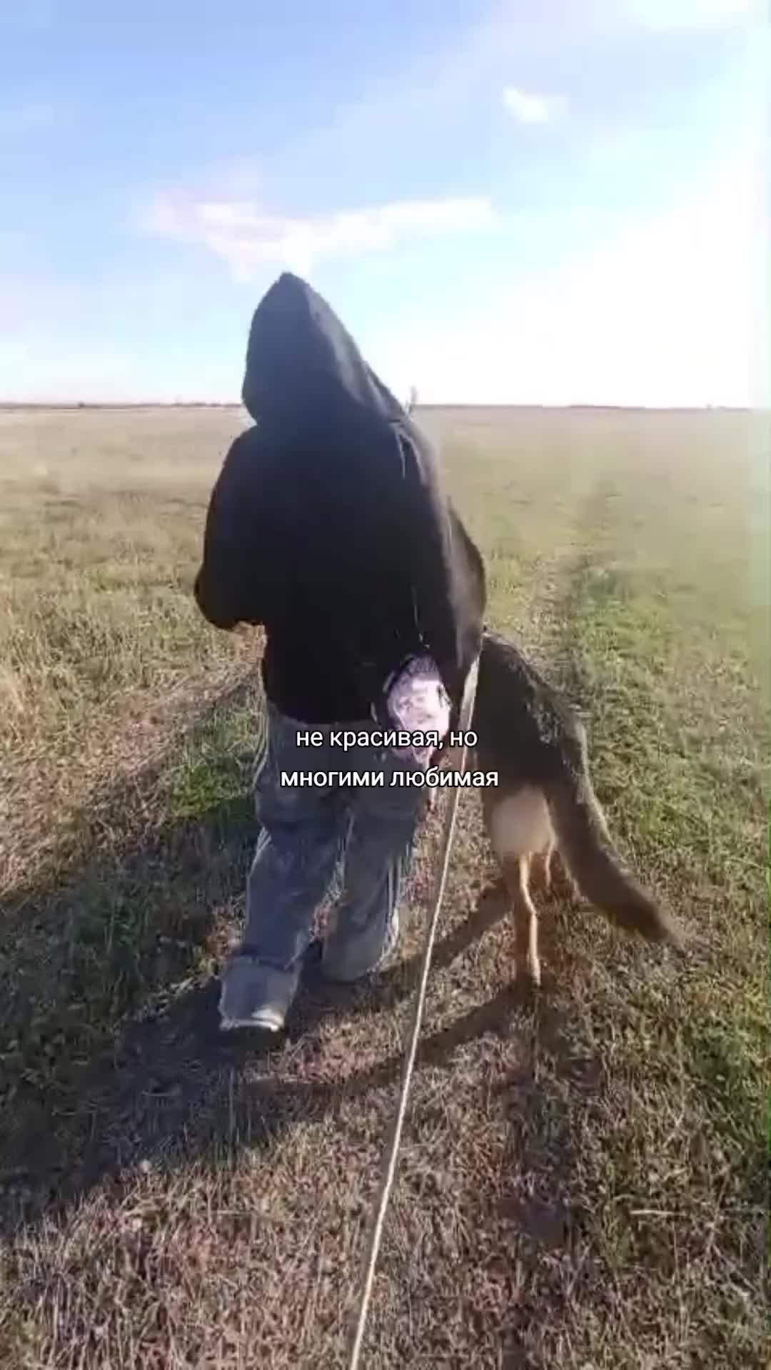 @дашуля я