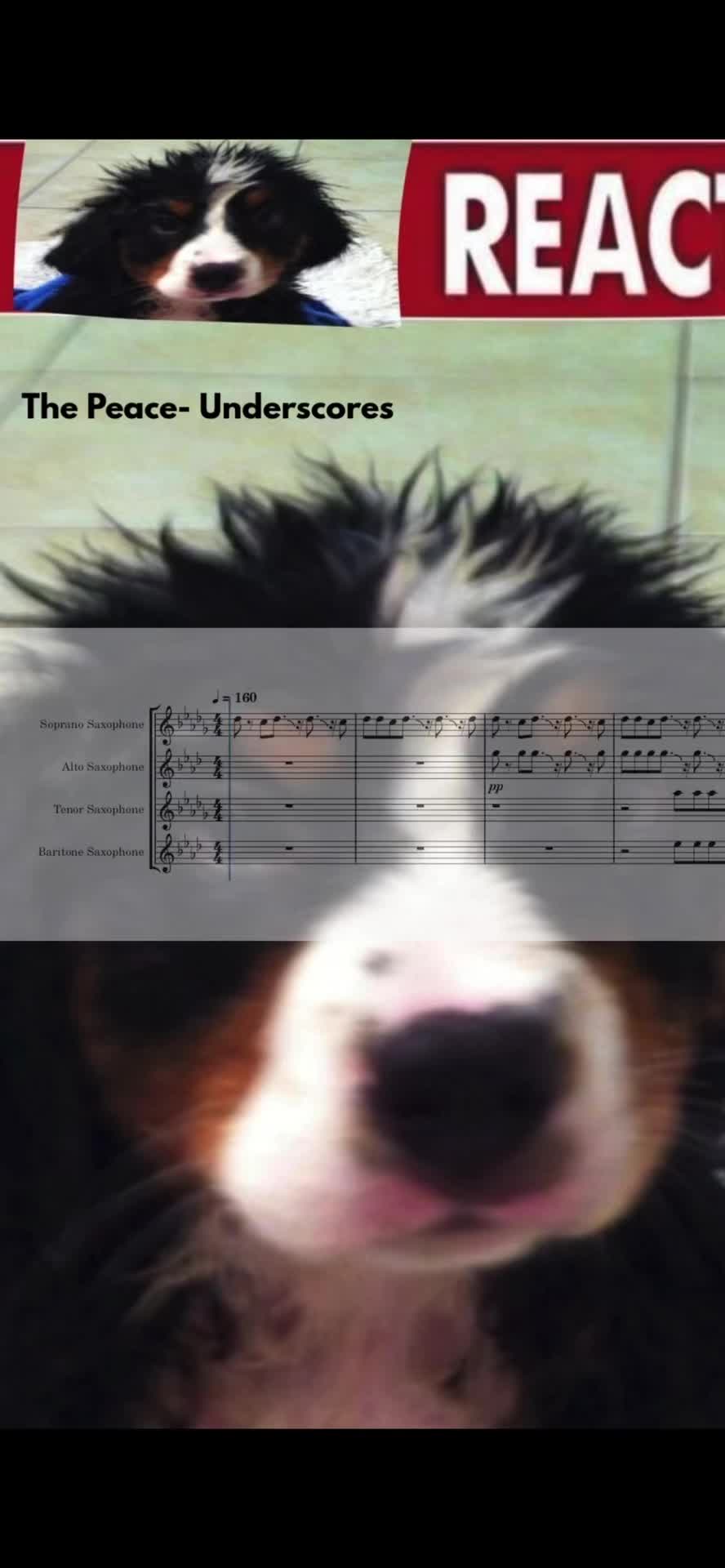 @𝄢 Bodhi.mp3 ☆