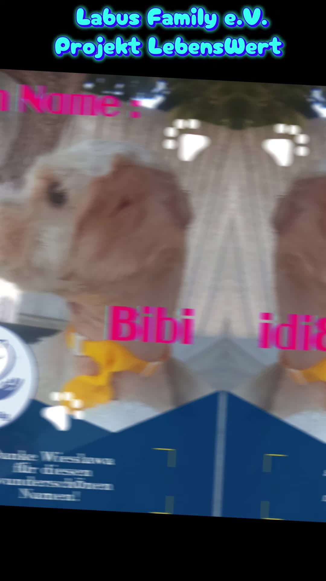 @Labus Family Shelter Animals ?