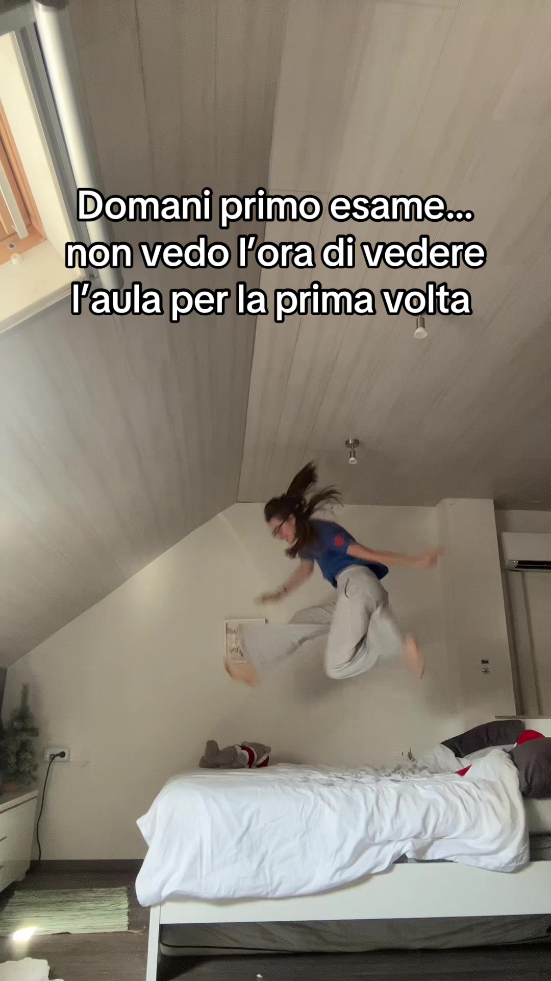 @giulia zanoletti