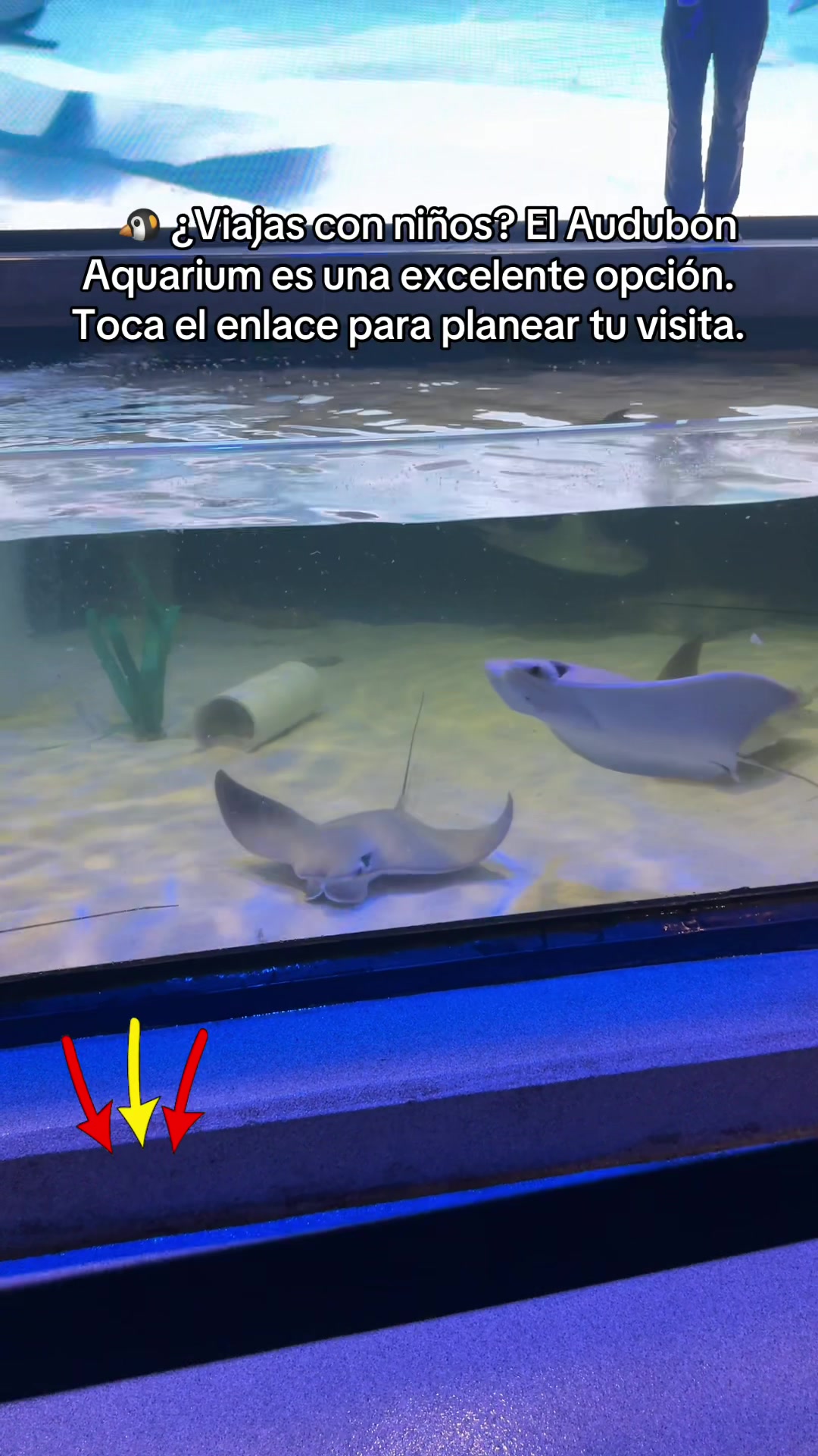 @ʝ 🧃
