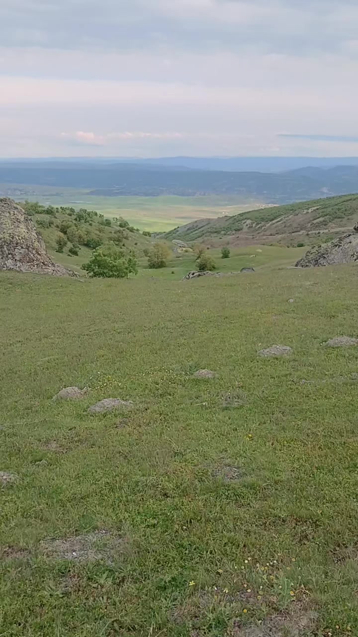 @bayramNuriefe