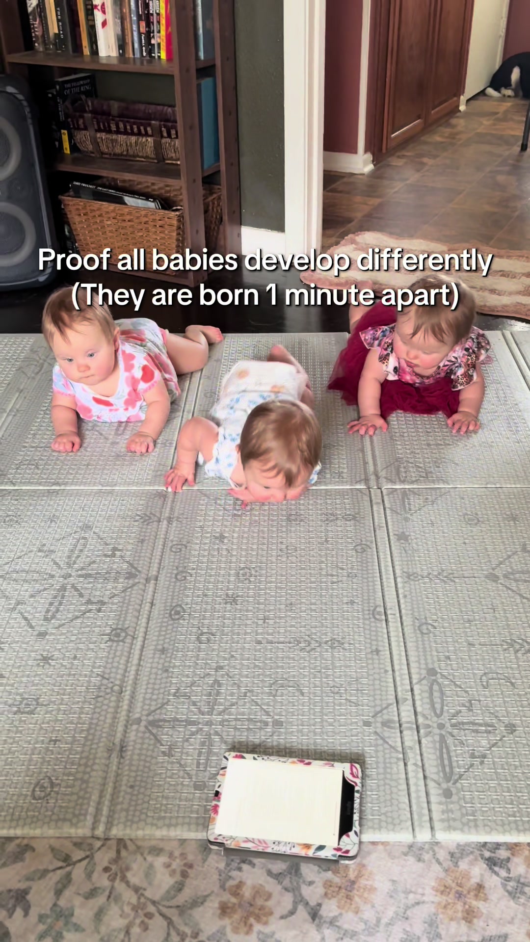 @Herr Triplets | Vanna Lee