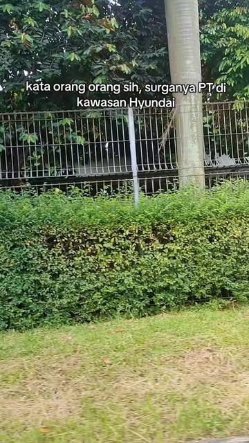@Mas Nur Kebumen