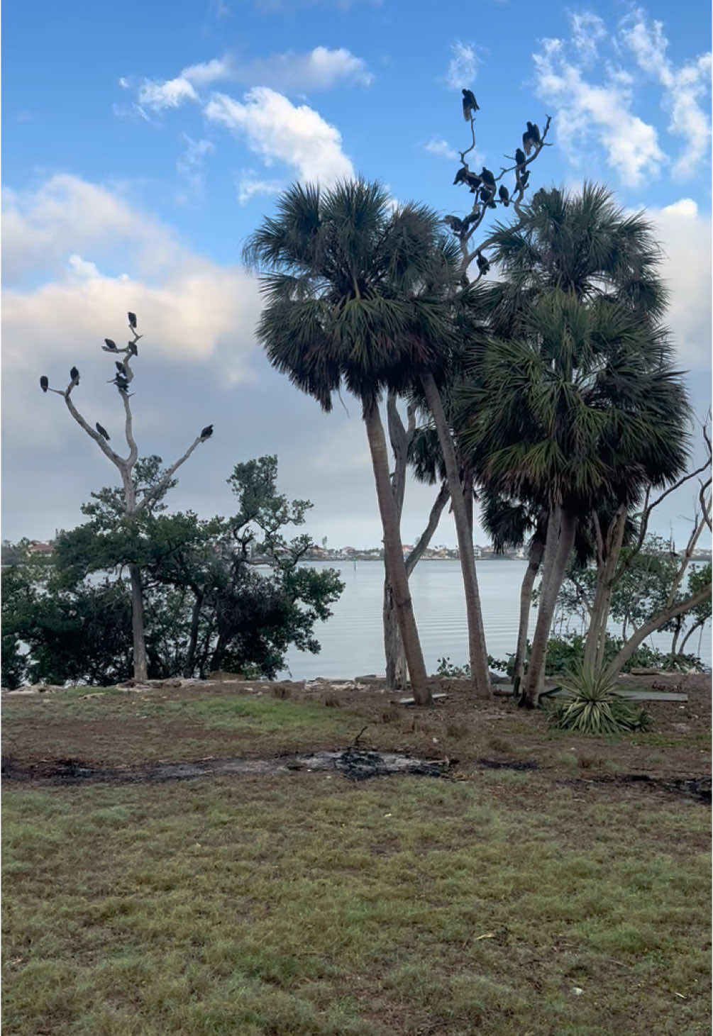 @FL Adventures and Travel