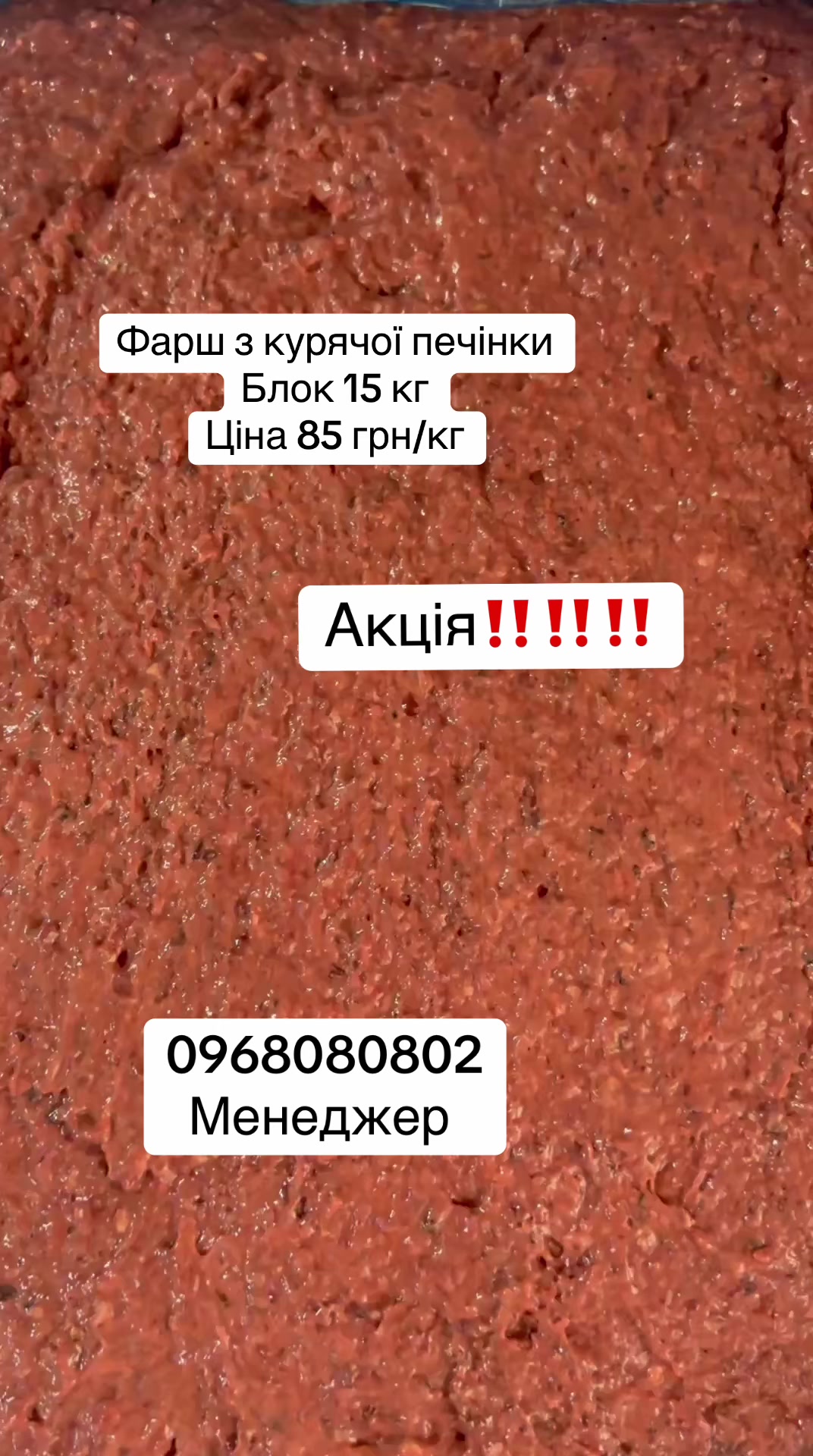 @msmakoluku