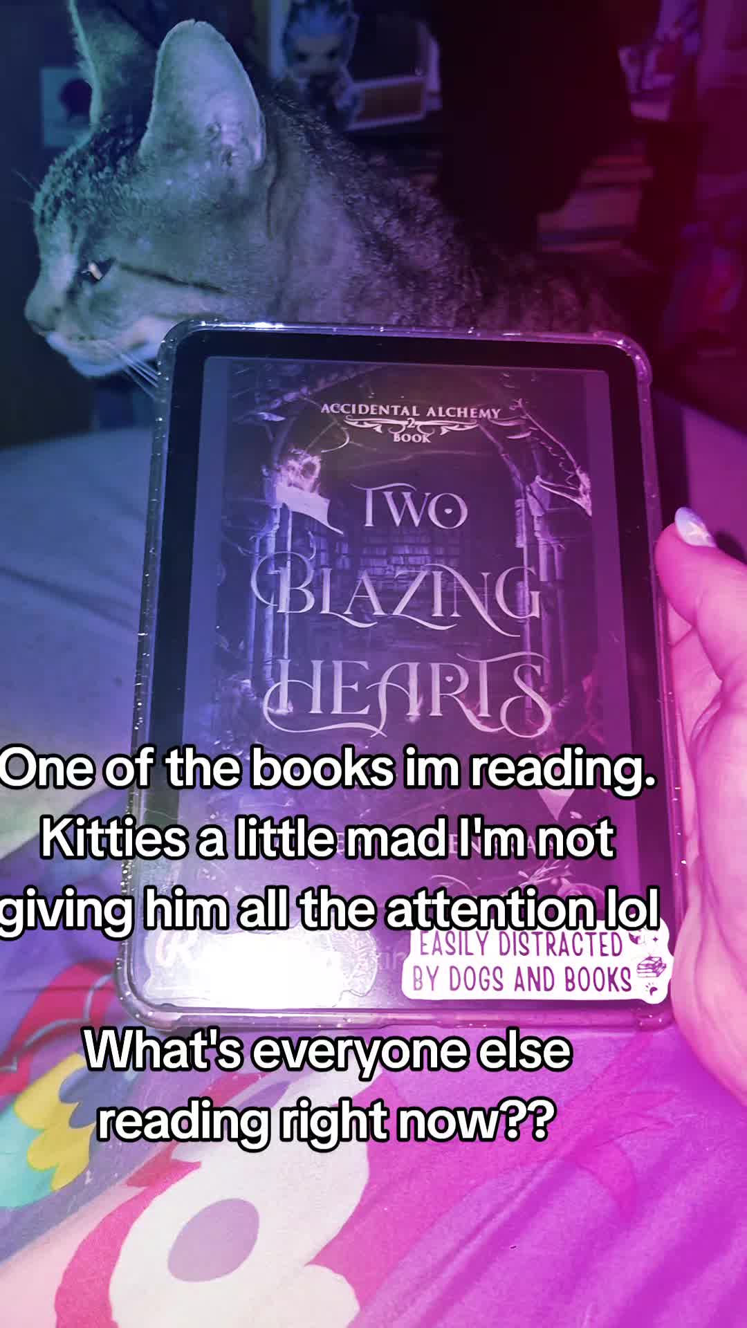 @Lexie♡Bookbear♡