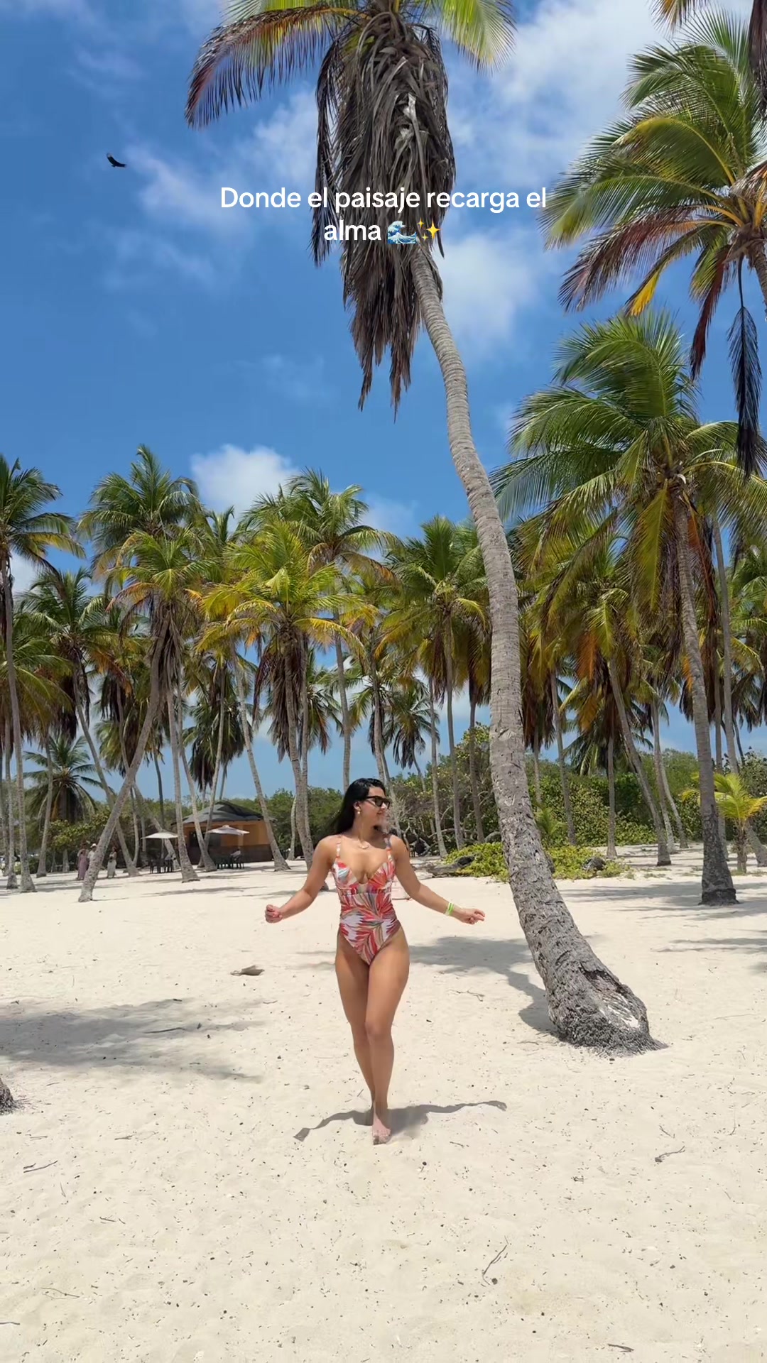 @andreinajdiaz