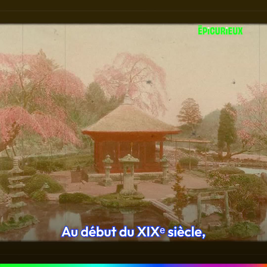 @Jamy - Epicurieux