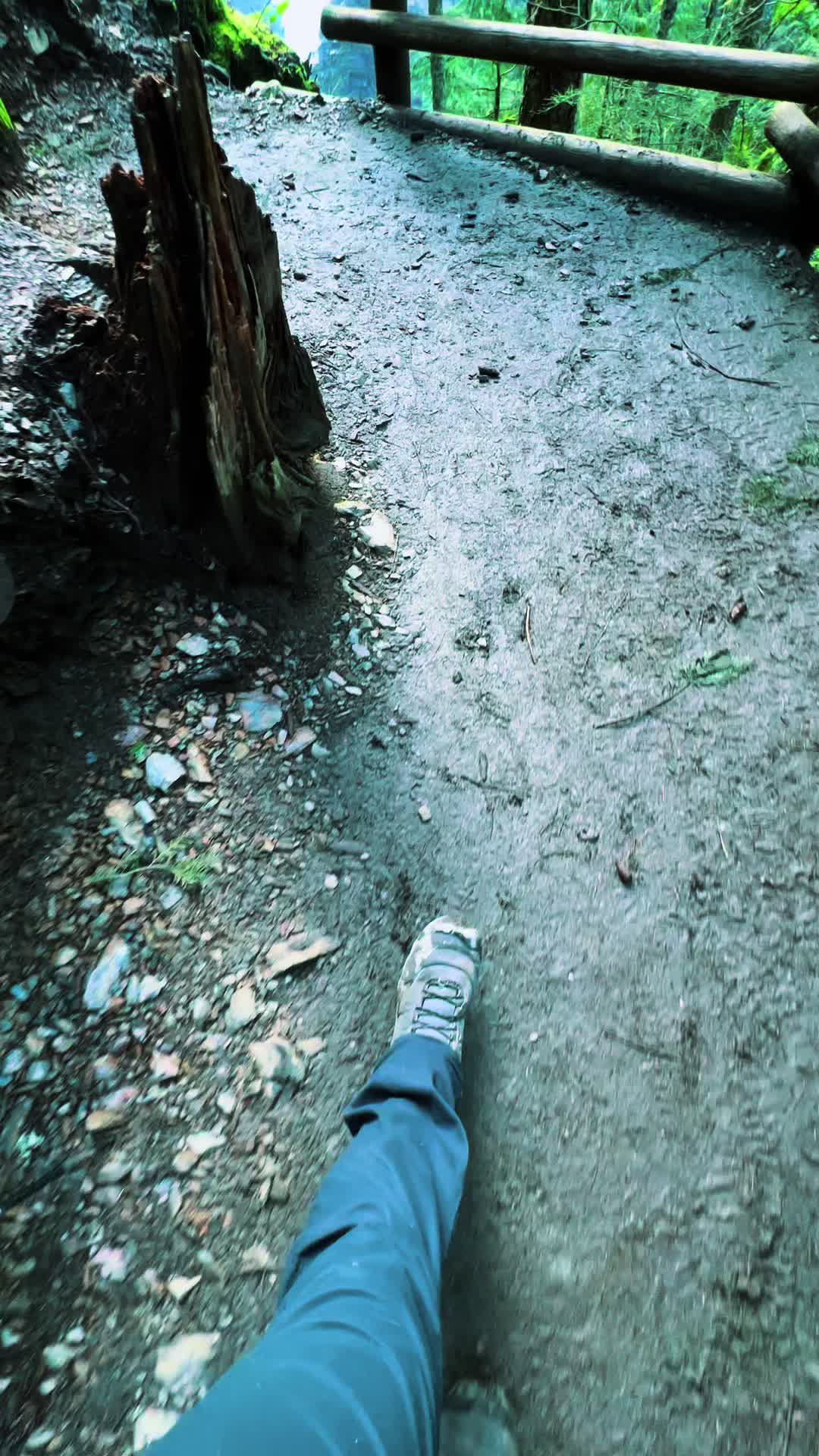 @🌲 James | WA 🏔️