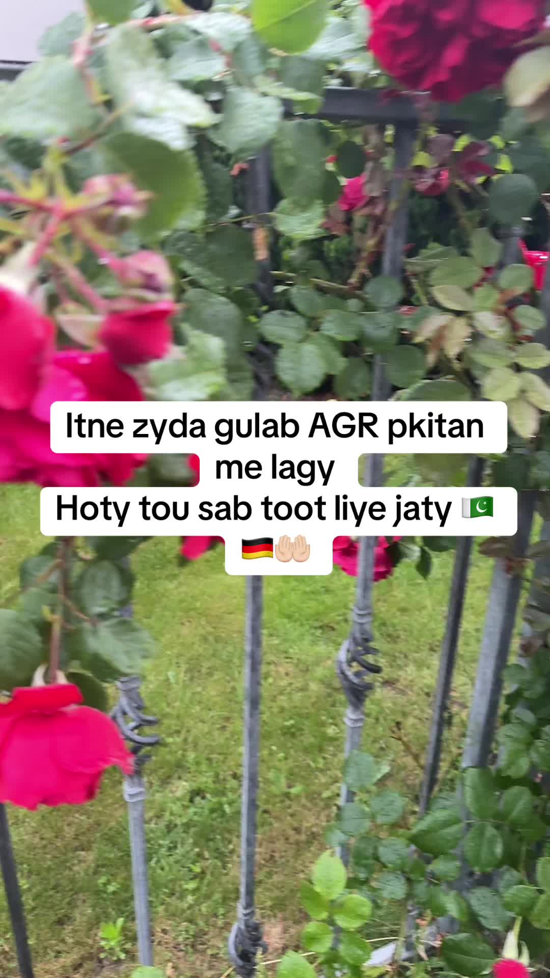 @MomentsOfGermany🇩🇪🇵🇰❤️