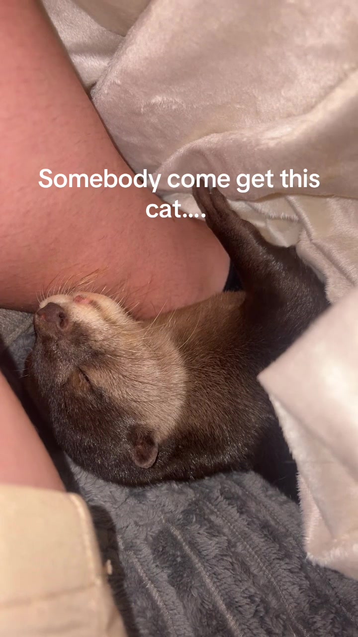 @Kamygrant