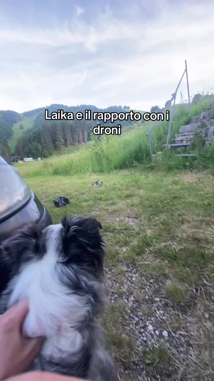@Elena e Laika