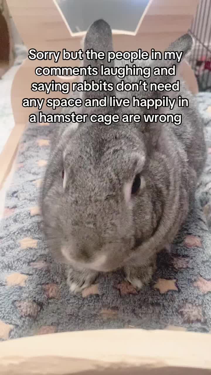 @interestinglilcreature