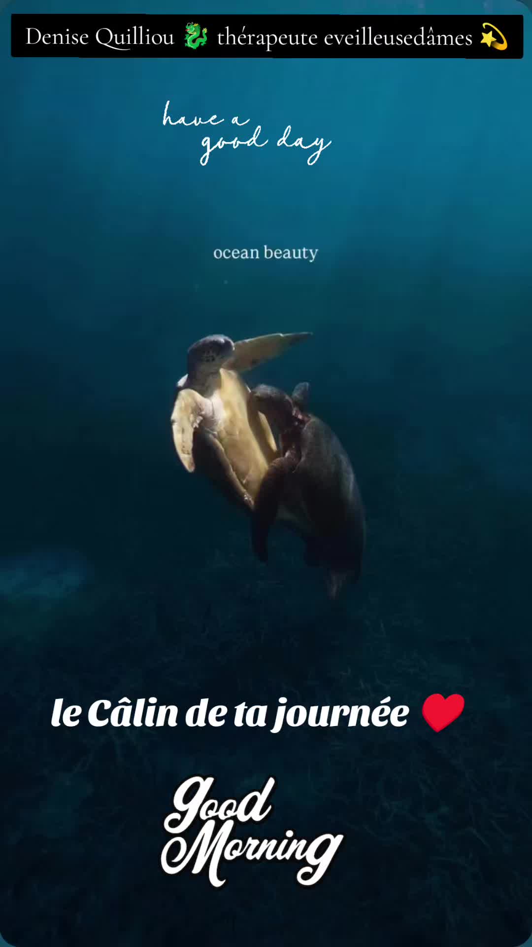 @Lauret Denise ✨🐉✨