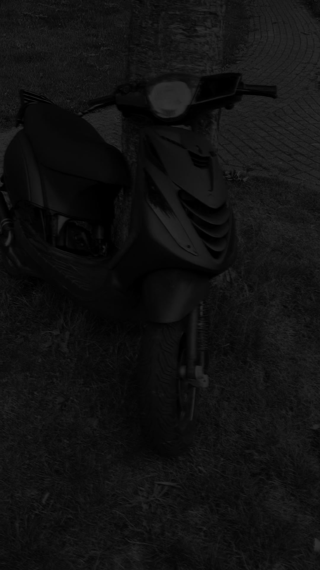@Bikelifenl