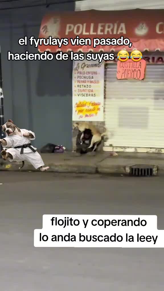 @rikum🇲🇽