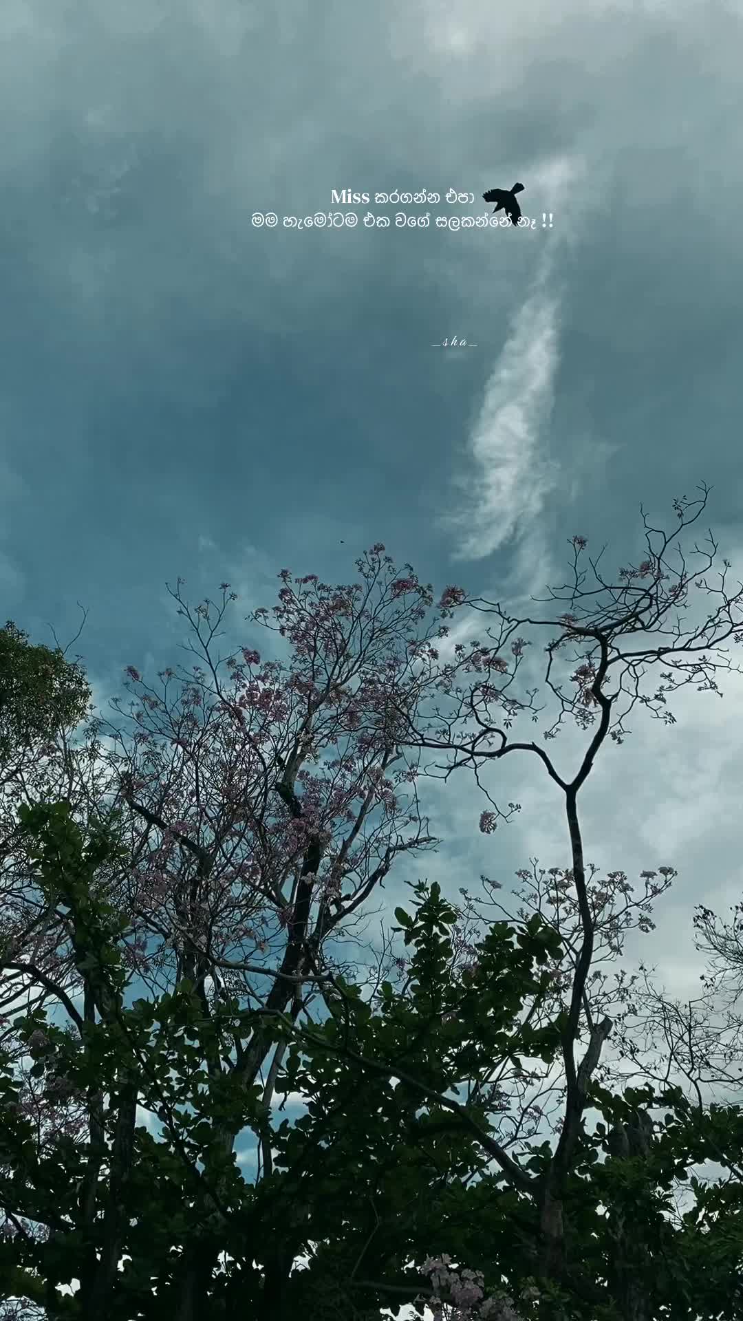 @𝗦>