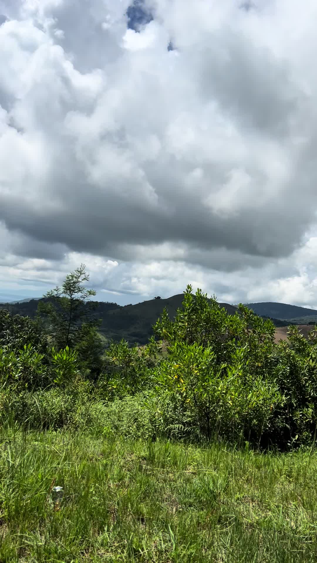 @ChasuraMatapatira🦅