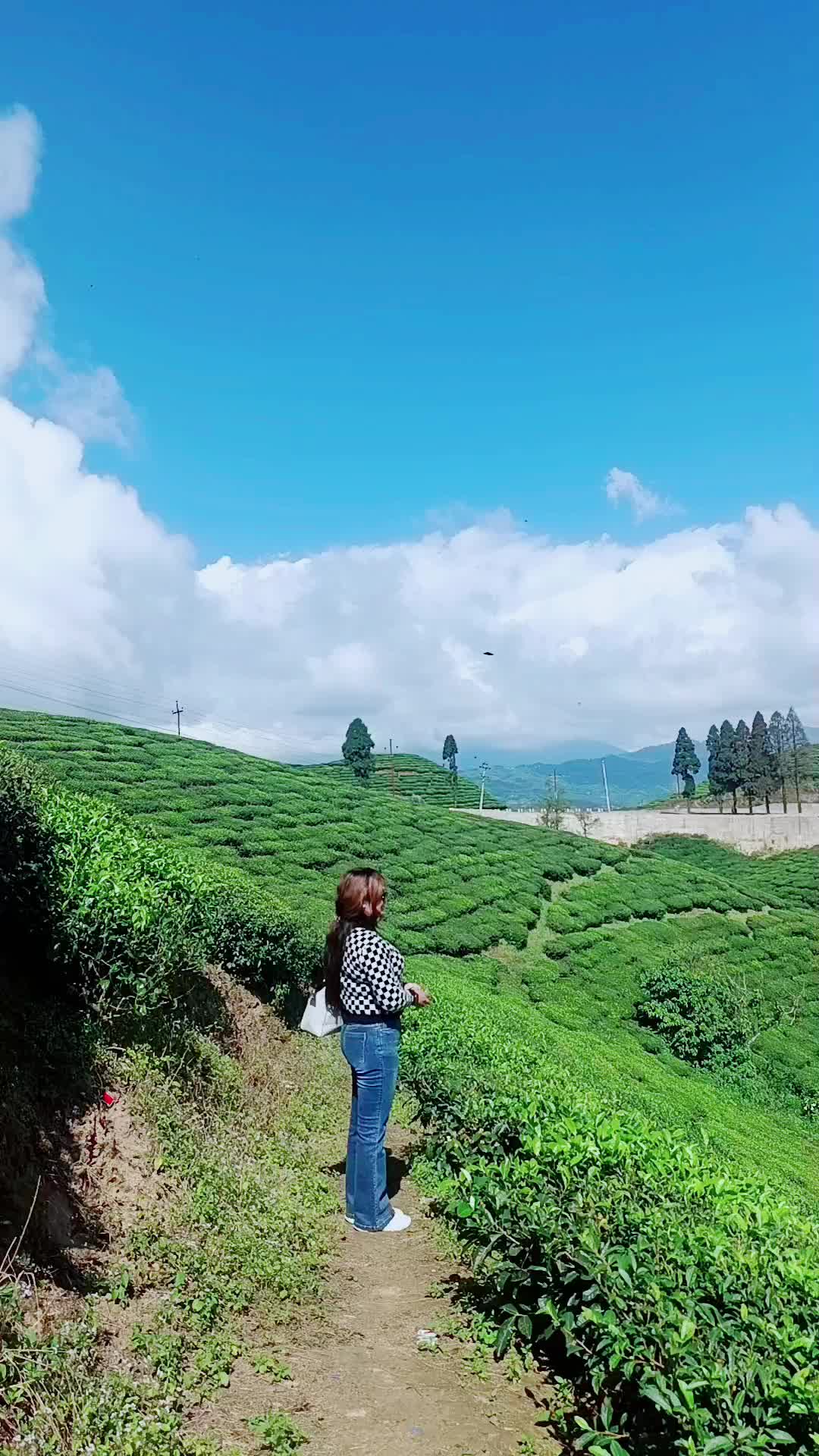 @TARA ๐