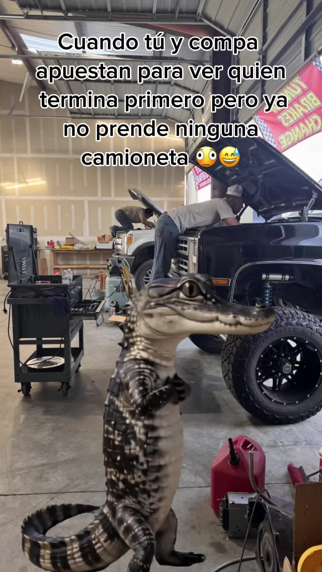 @Dynamite Performance LLC