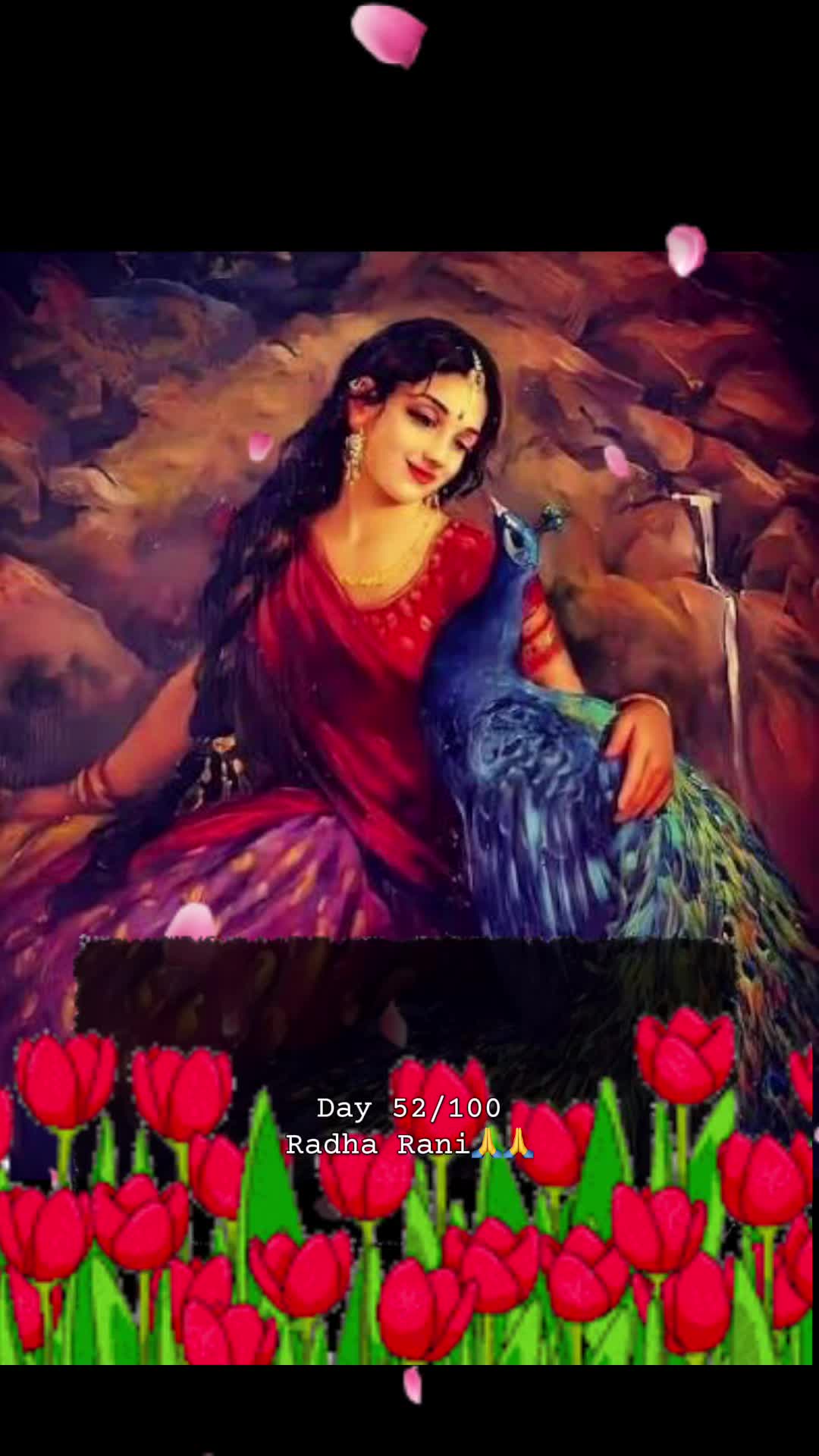 @RadheKrishna🦚🦚🙏🙏