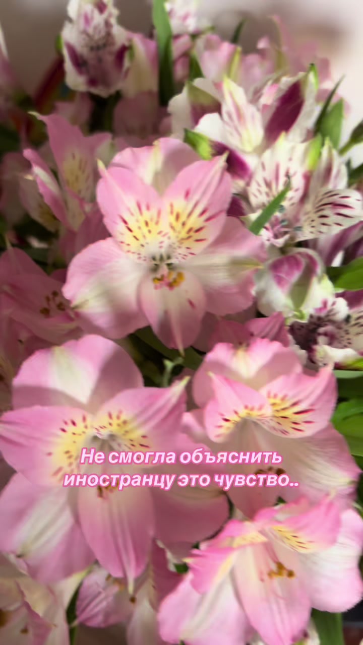 @Бесстыжая матрица