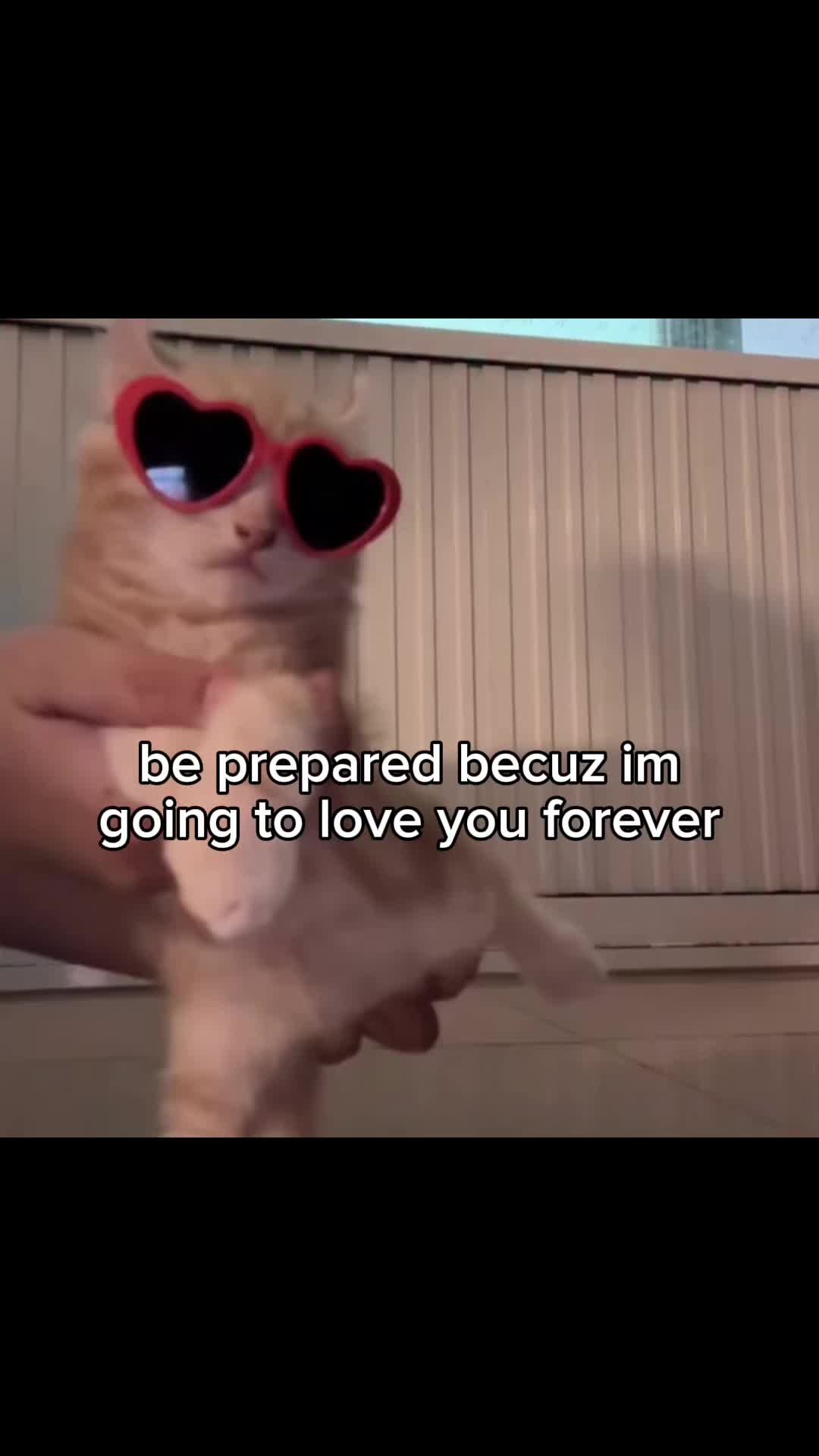 @lucyylow