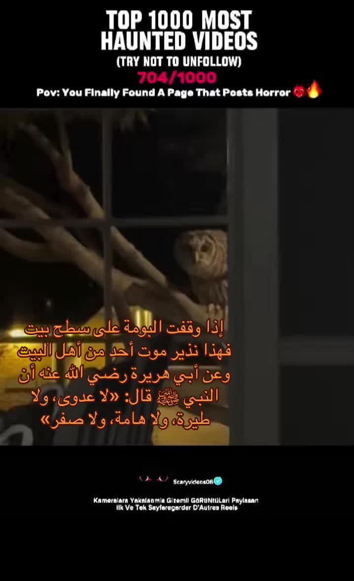 @scaryvideos06