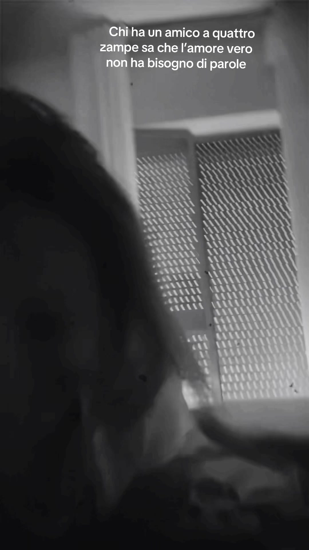 @karioka.sf