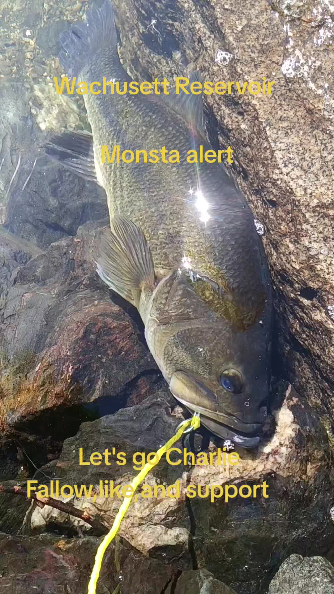 @Carlos Pagan