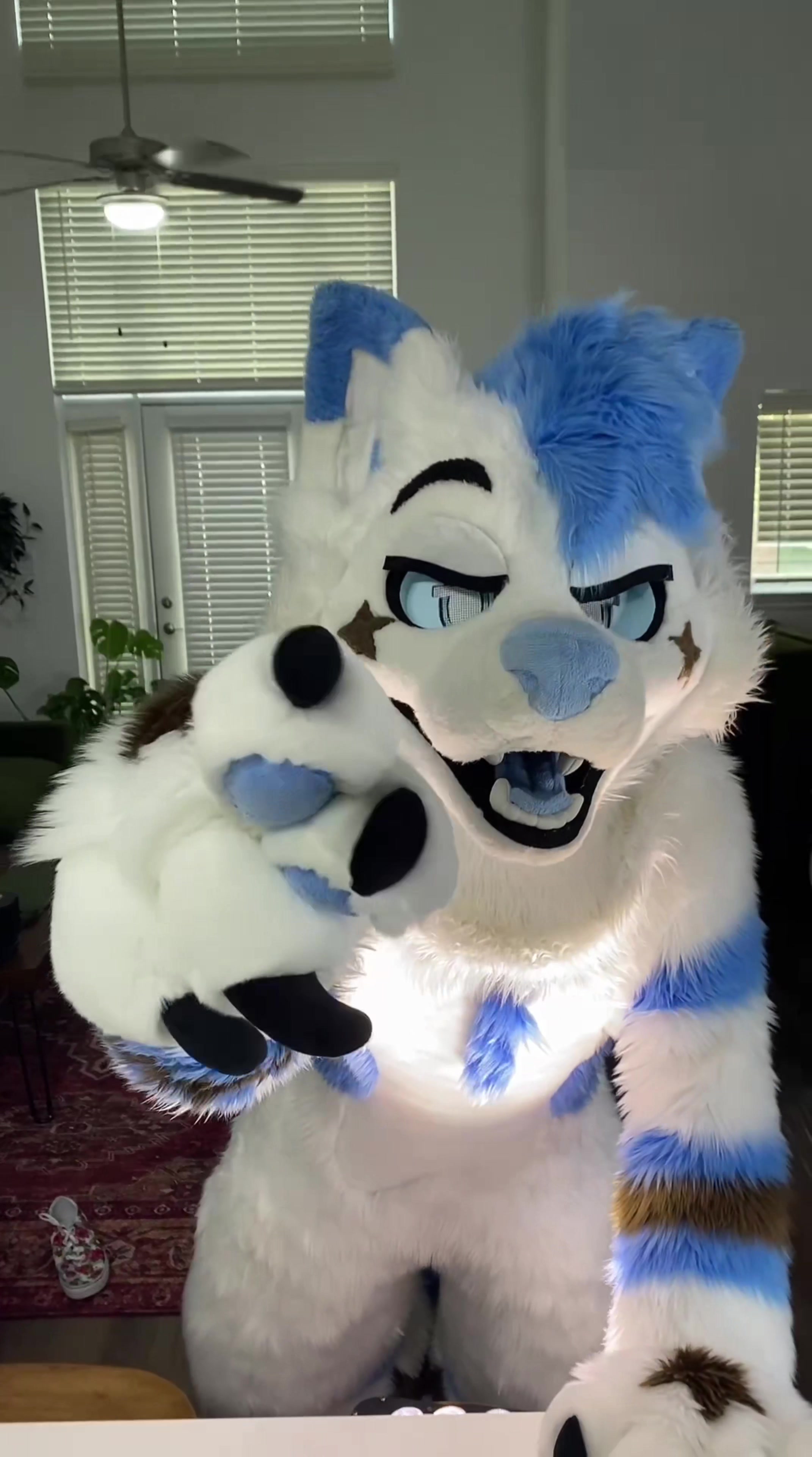 @BlueFoxNova