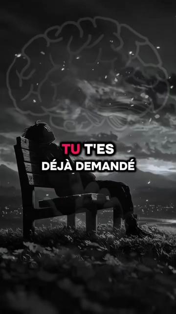 @rezaoui