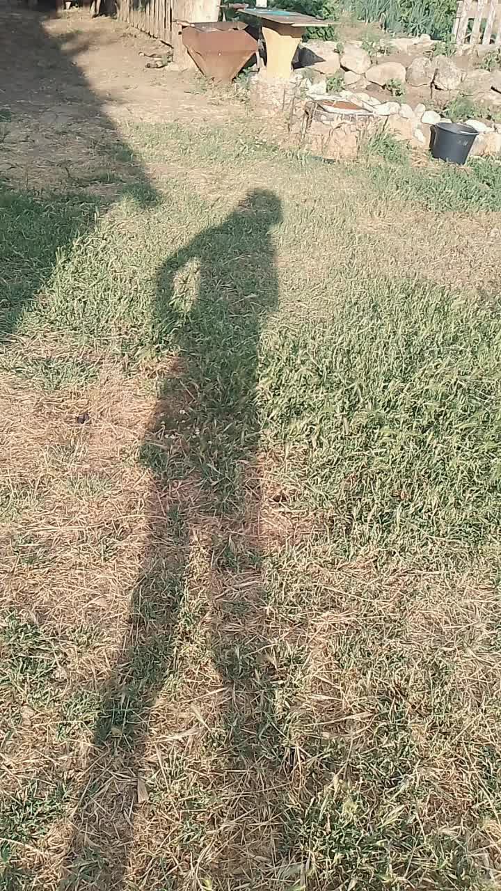 @вика