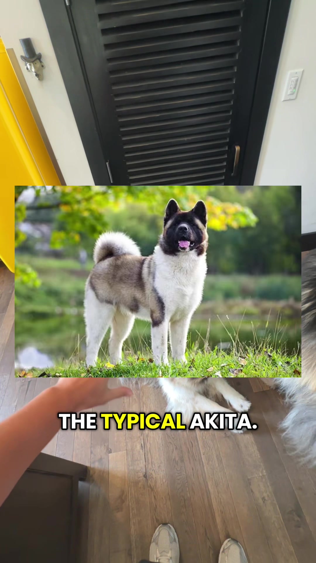 @Niko Katsuyoshi