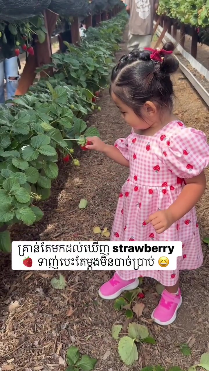 @Ellen Ellie 🇺🇸🇰🇭