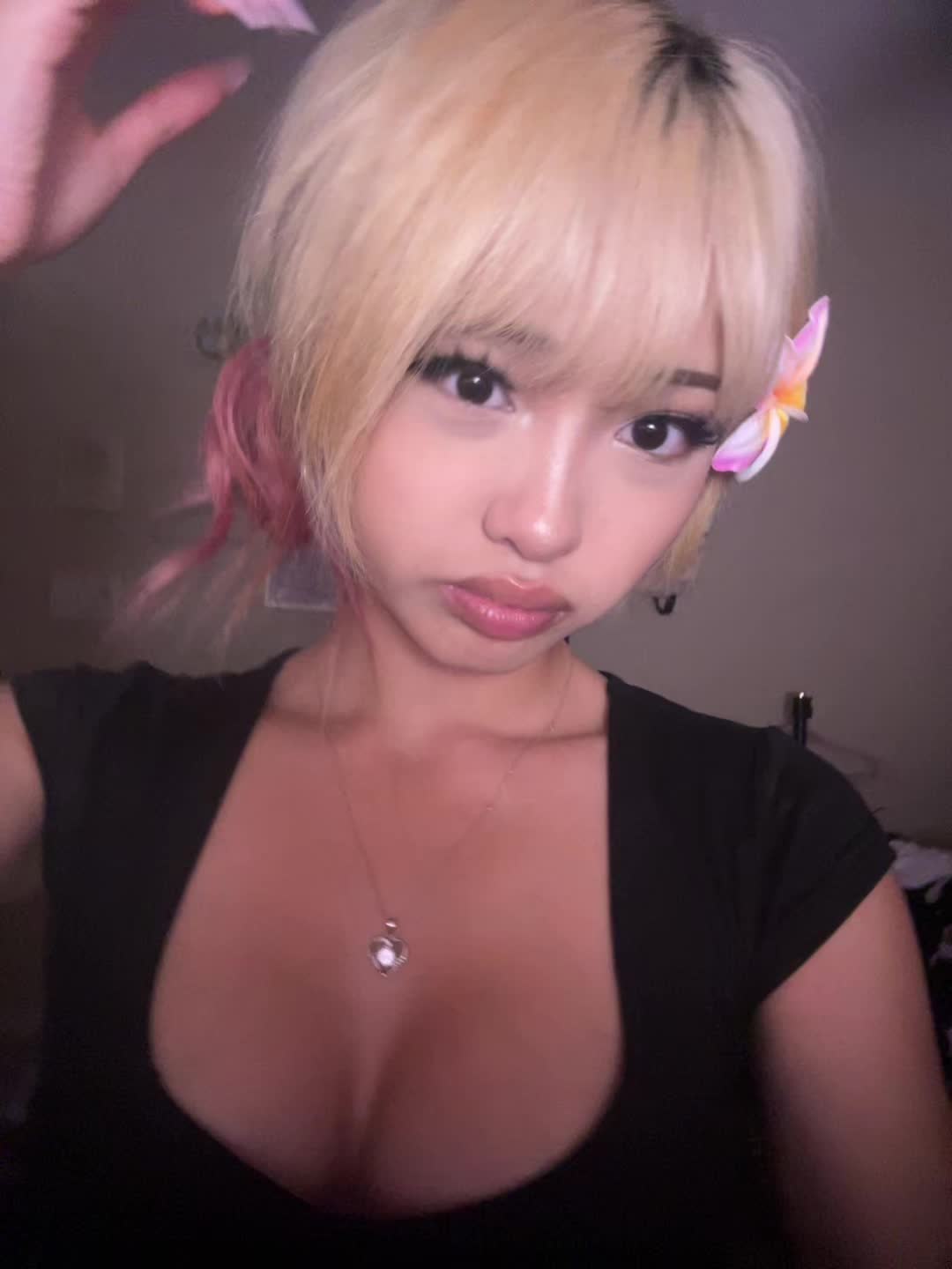 @🕊️