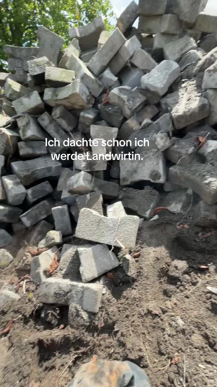 @sophie_pinnekaemper