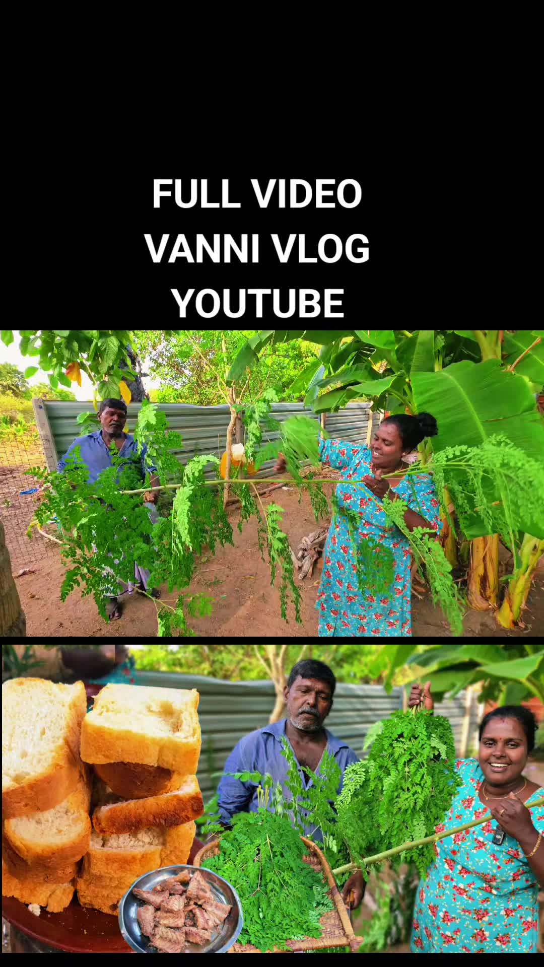 @VANNI VLOG