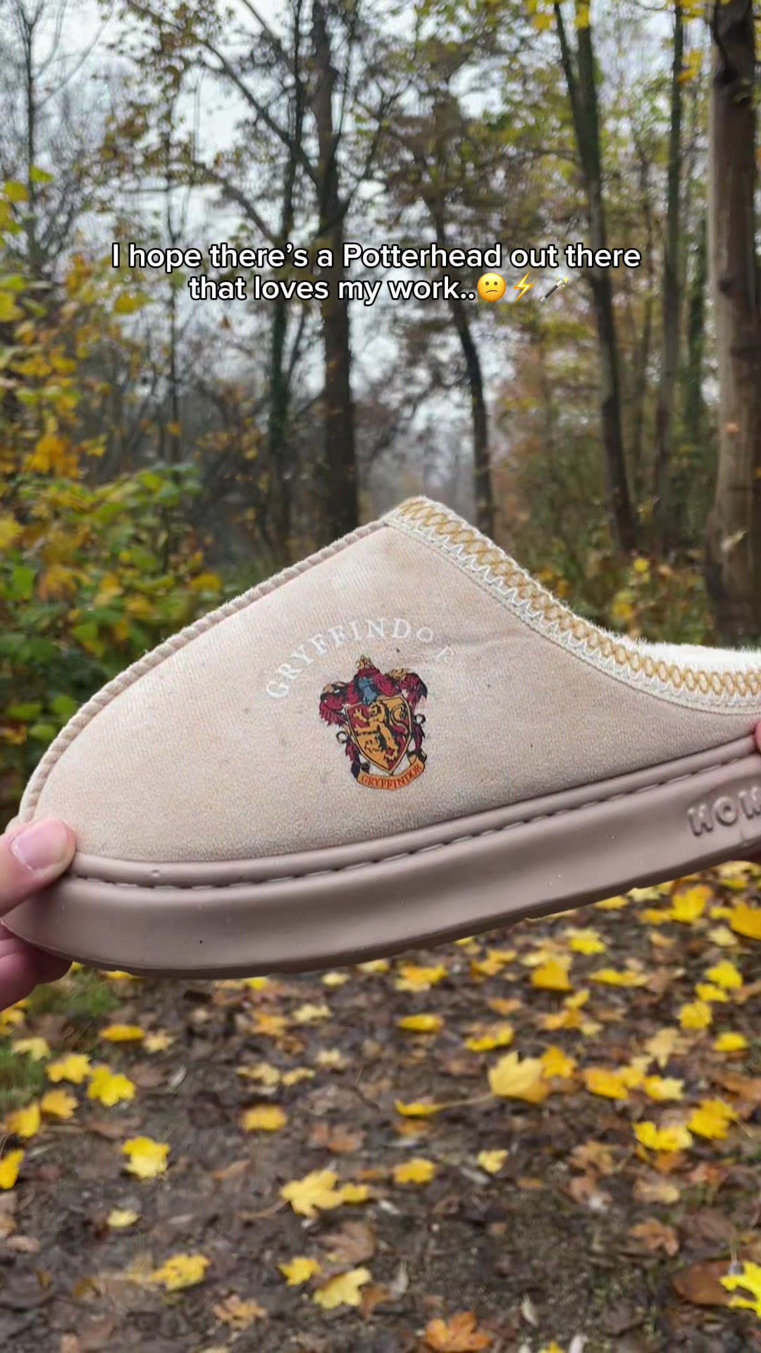 @PotterSlides