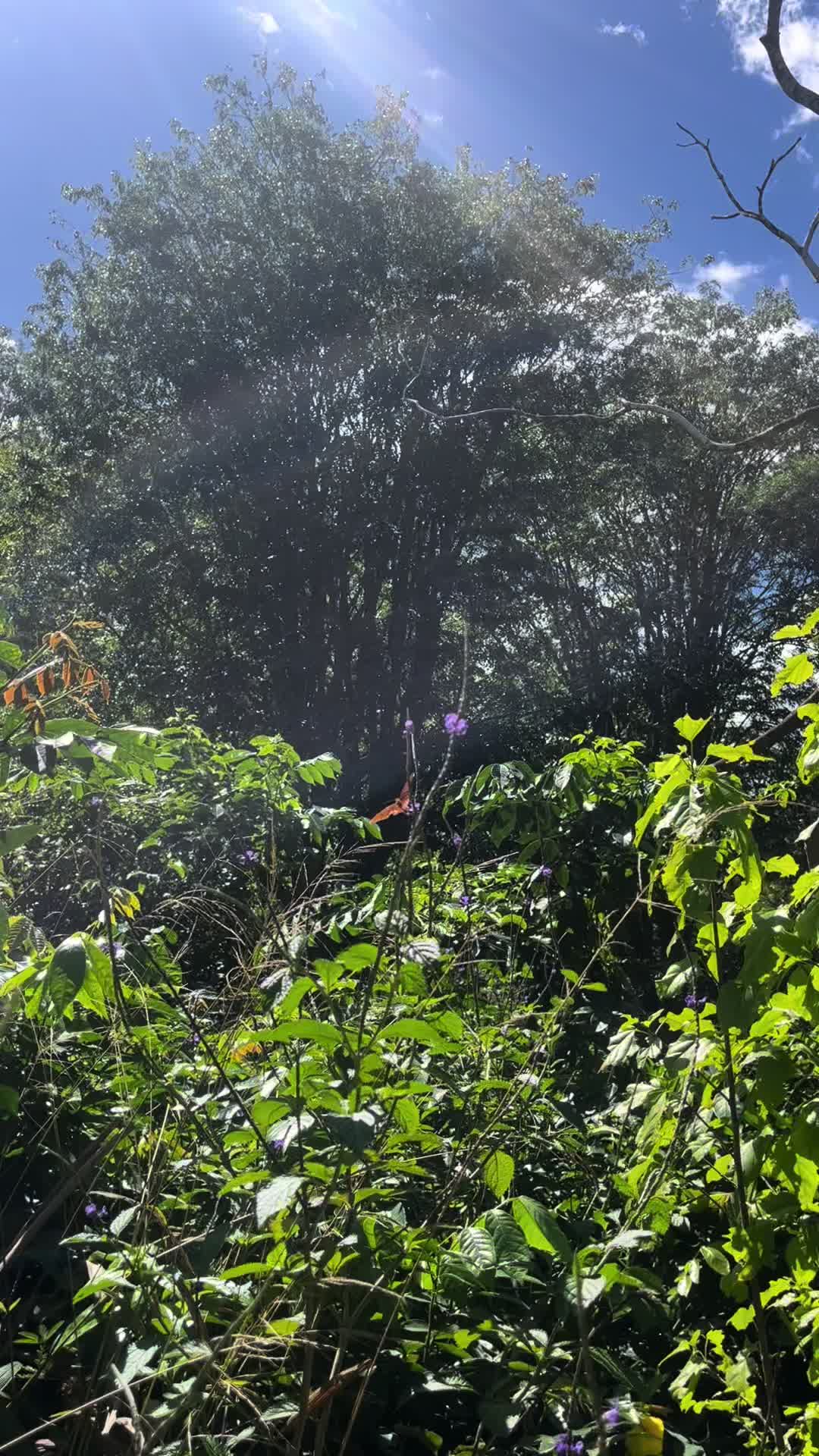 @nature is beautiful