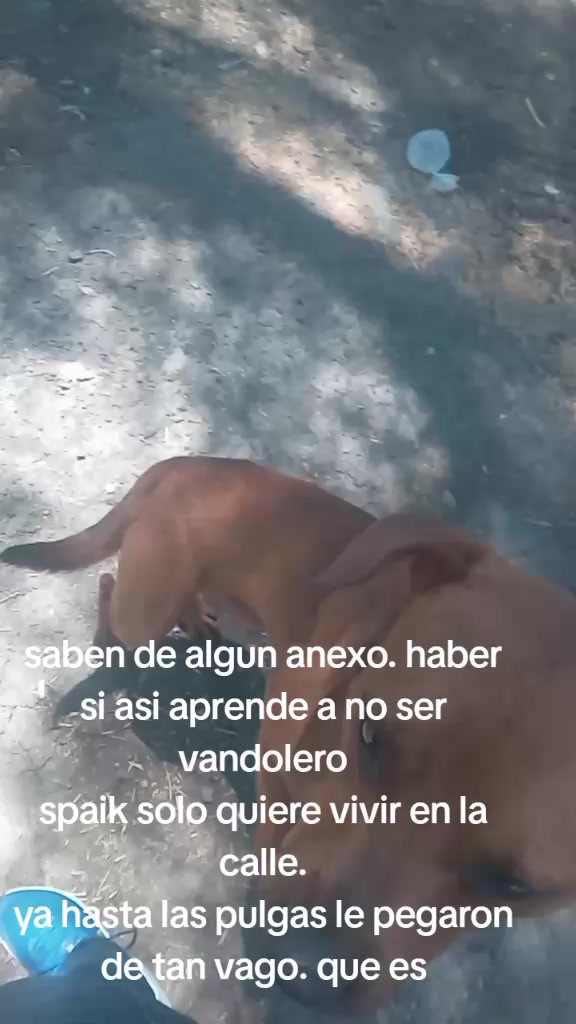@Angela Aguirre