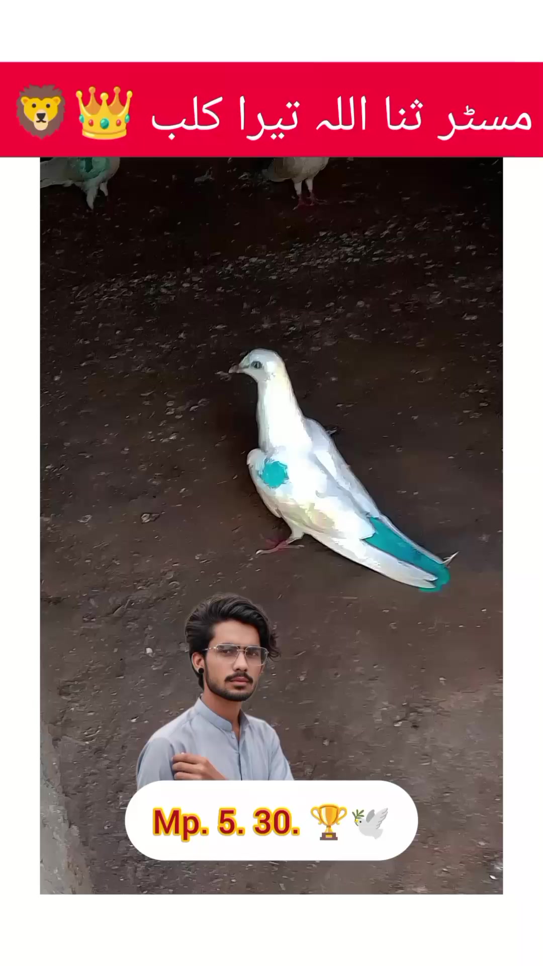@ᴹʀ Ｓꪋⁿꪋ𝐮ไไꪋ𝚑