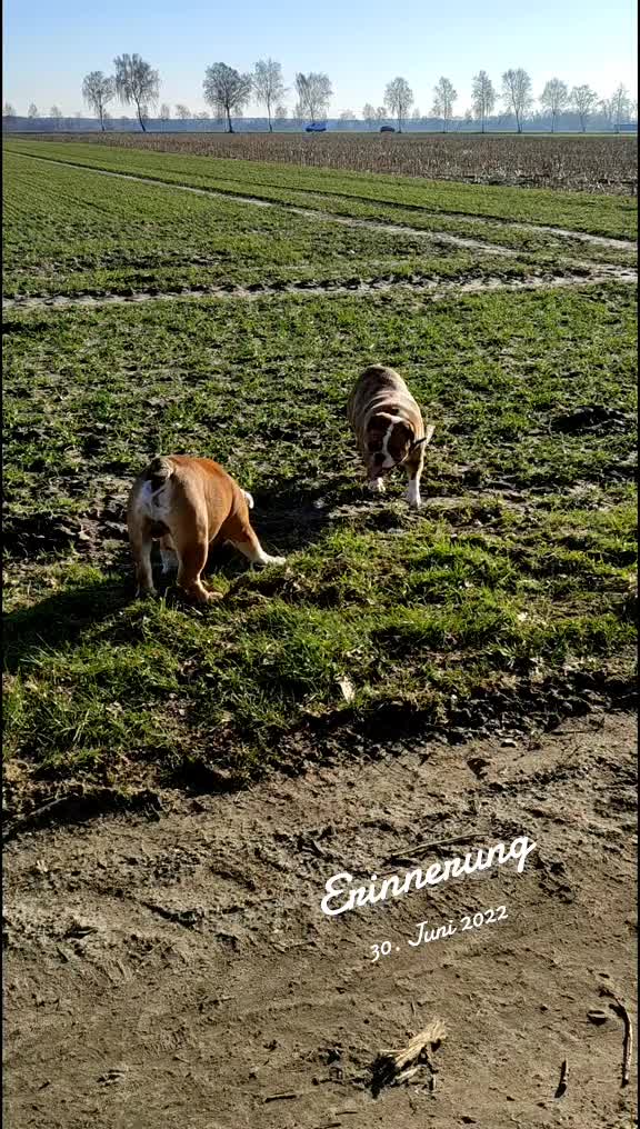 @cori.friedy.toni